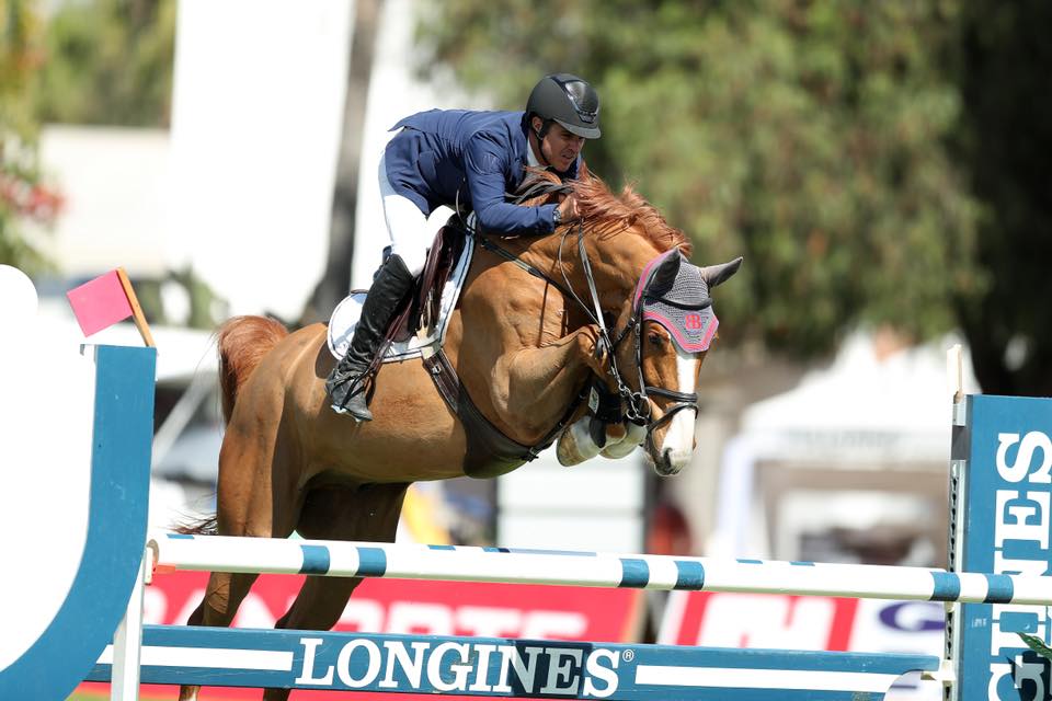 Rodrigo Lambre Showjumper